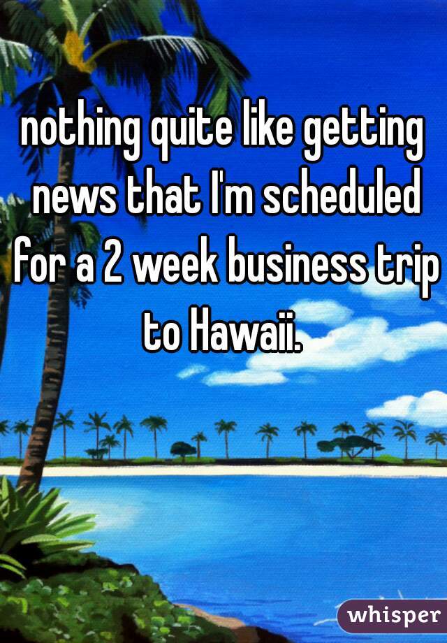 nothing quite like getting news that I'm scheduled for a 2 week business trip to Hawaii. 