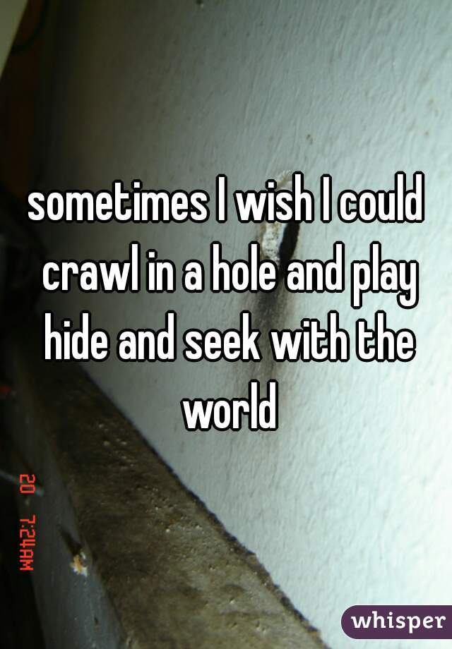 sometimes I wish I could crawl in a hole and play hide and seek with the world