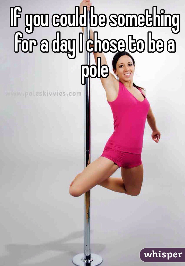 If you could be something for a day I chose to be a pole