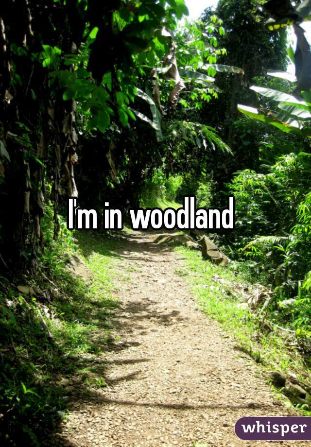 I'm in woodland 