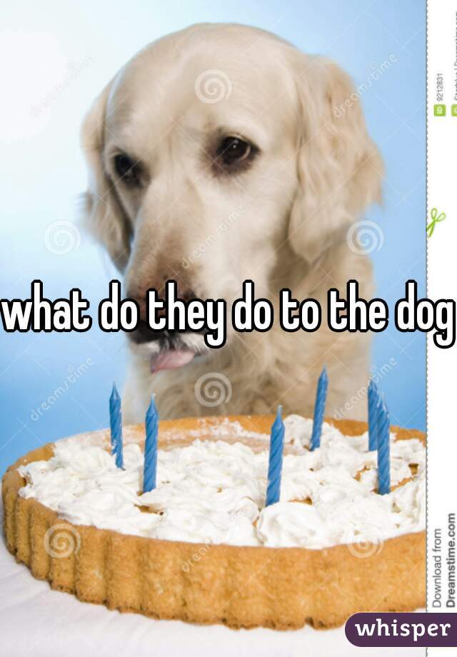 what do they do to the dog?