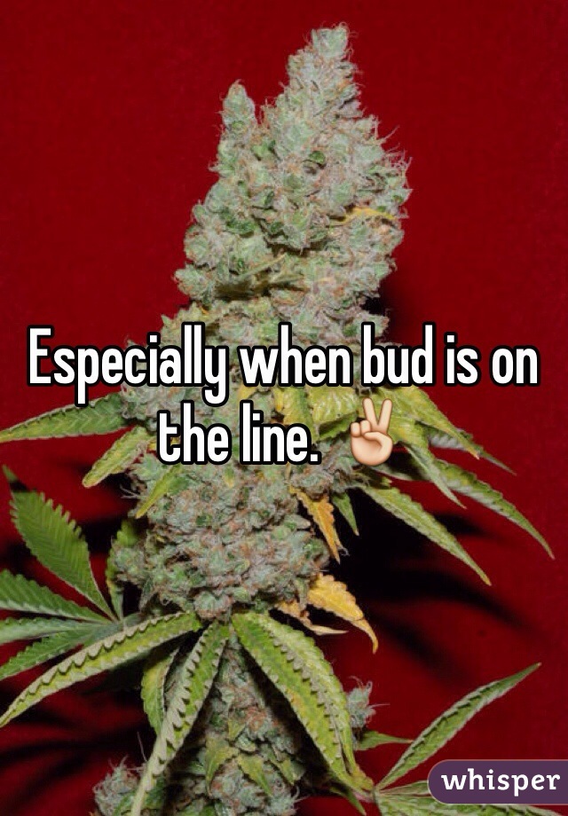 Especially when bud is on the line. ✌️