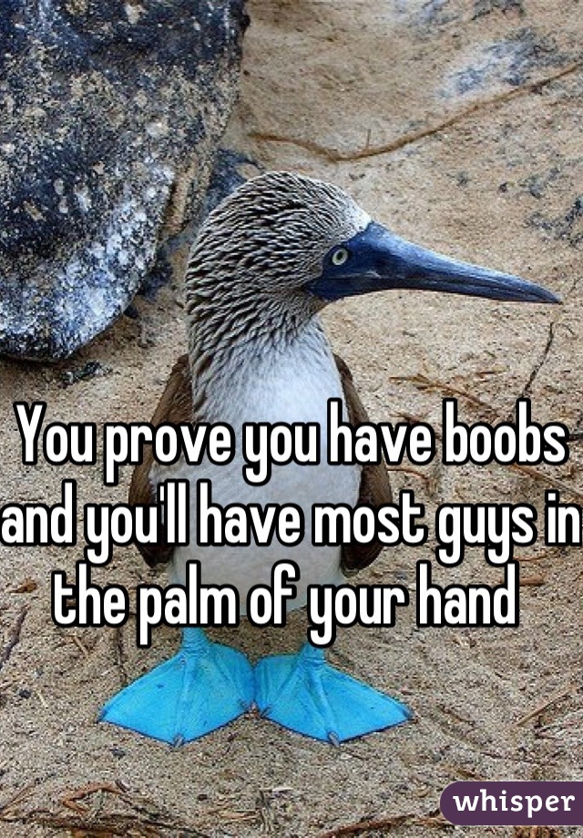 You prove you have boobs and you'll have most guys in the palm of your hand 