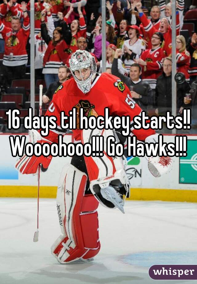 16 days til hockey starts!! Woooohooo!!! Go Hawks!!! 