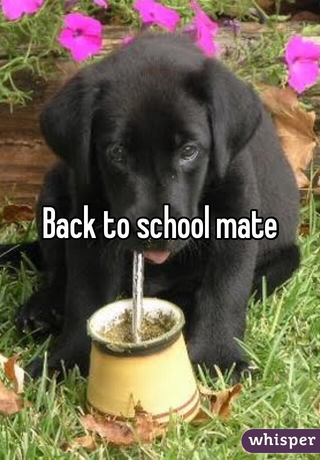 Back to school mate
