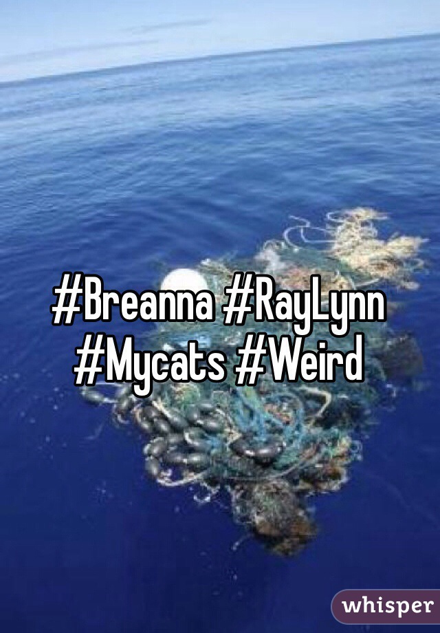 #Breanna #RayLynn #Mycats #Weird