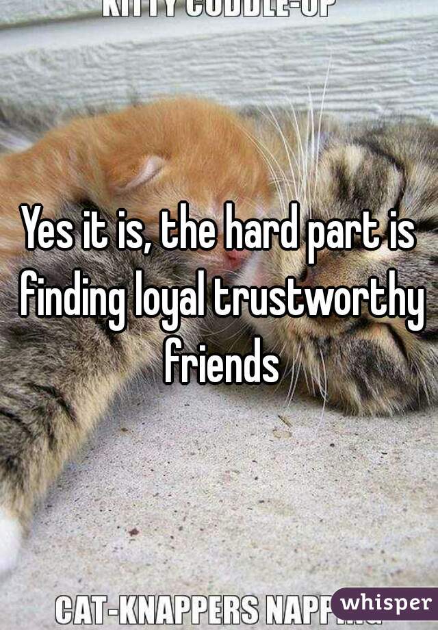 Yes it is, the hard part is finding loyal trustworthy friends