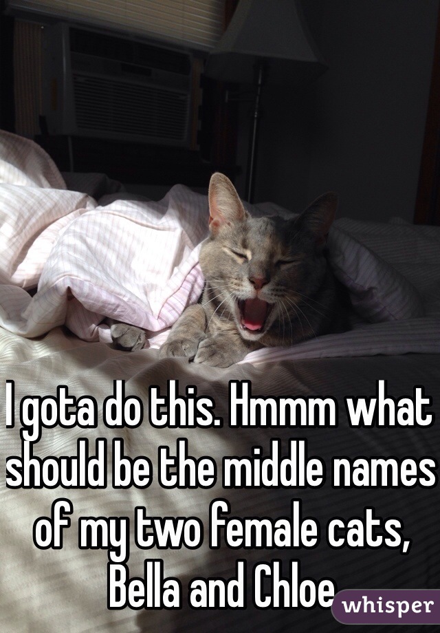 I gota do this. Hmmm what should be the middle names of my two female cats, Bella and Chloe