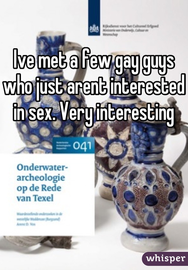 Ive met a few gay guys who just arent interested in sex. Very interesting