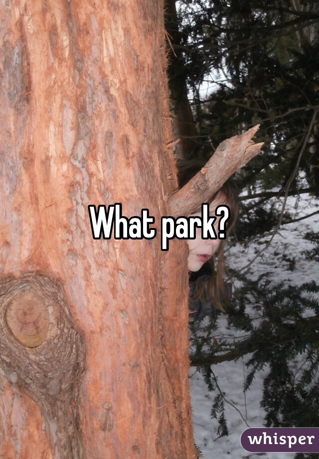What park?