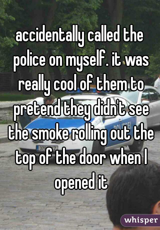 accidentally called the police on myself. it was really cool of them to pretend they didn't see the smoke rolling out the top of the door when I opened it