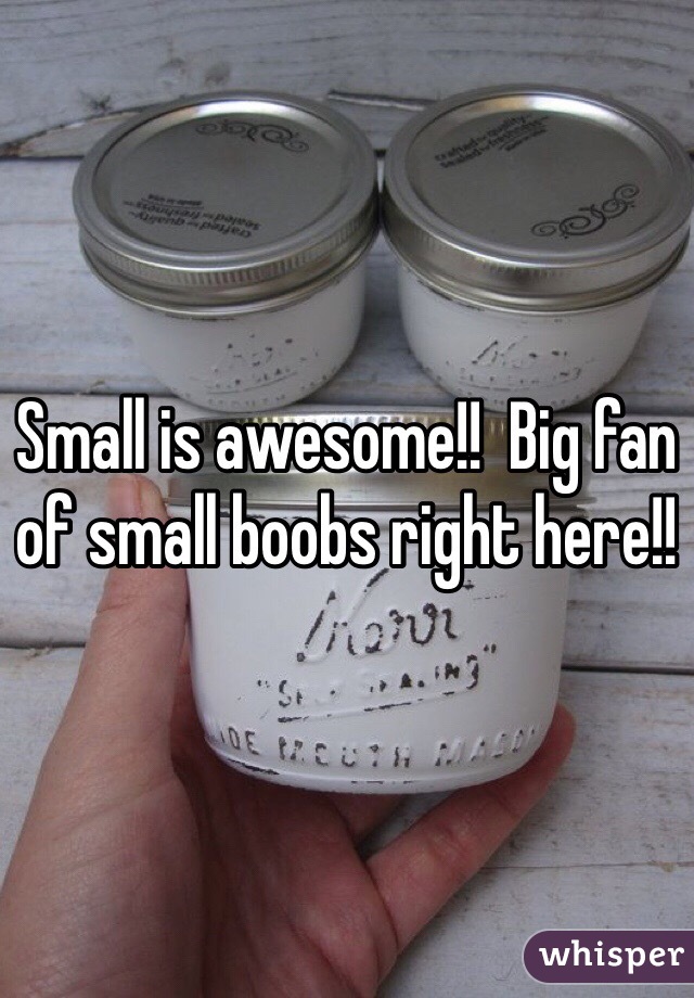Small is awesome!!  Big fan of small boobs right here!!