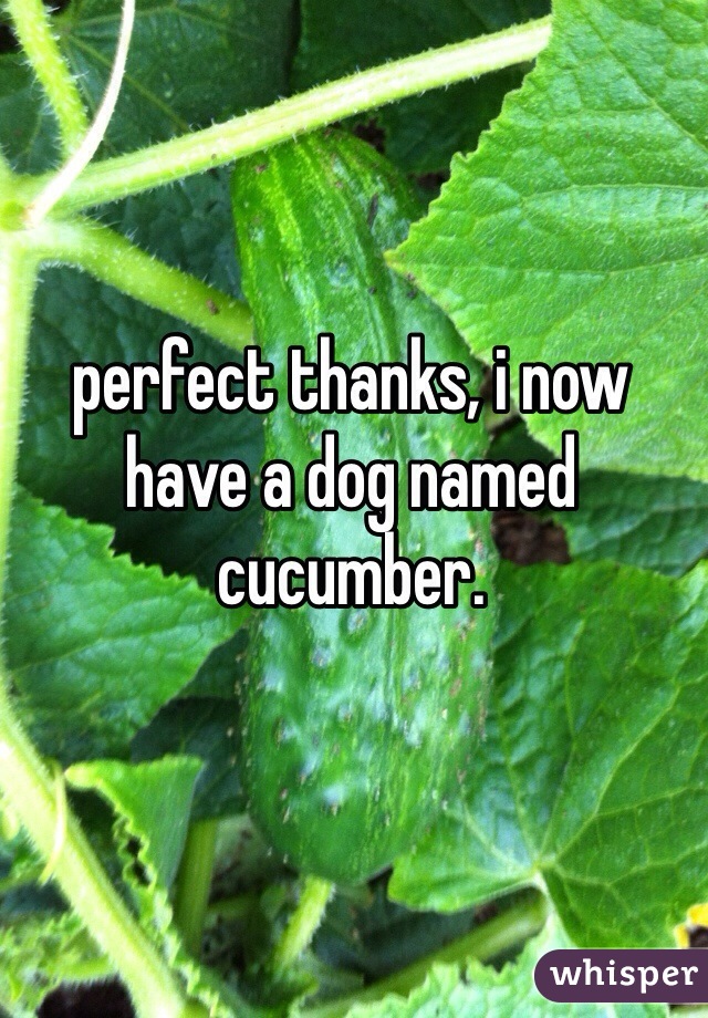 perfect thanks, i now have a dog named cucumber.