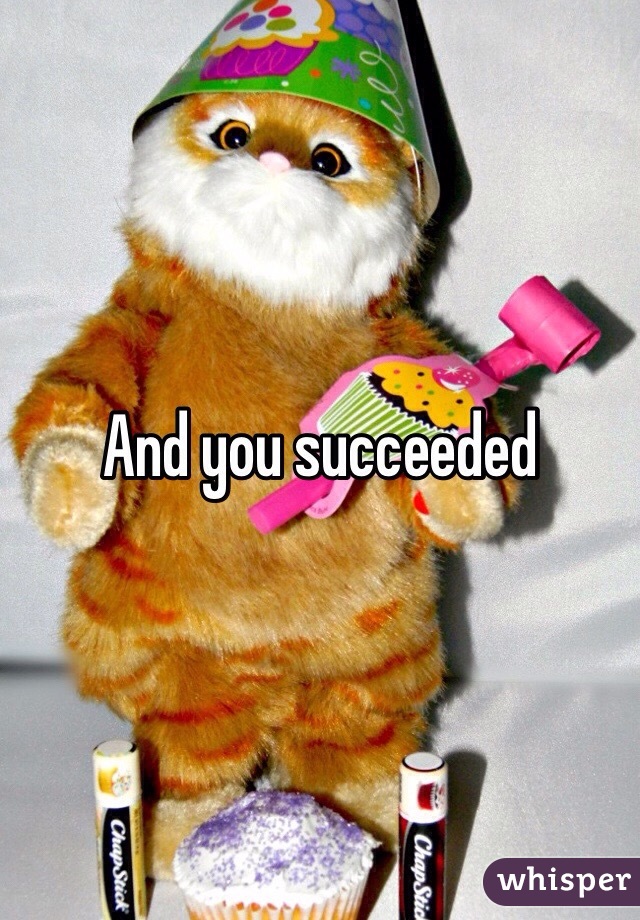 And you succeeded