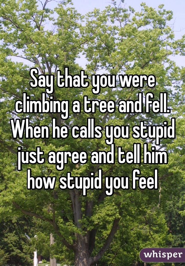 Say that you were climbing a tree and fell. When he calls you stupid just agree and tell him how stupid you feel