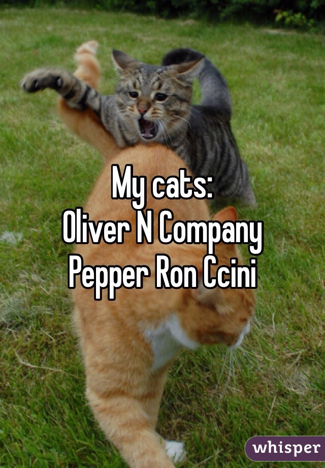 My cats:
Oliver N Company
Pepper Ron Ccini