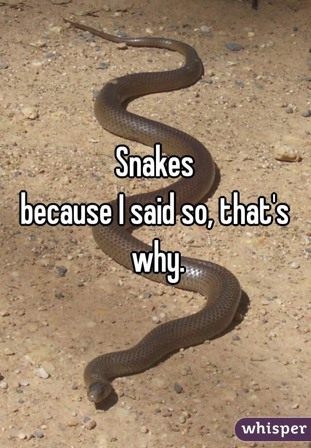 Snakes

because I said so, that's why.