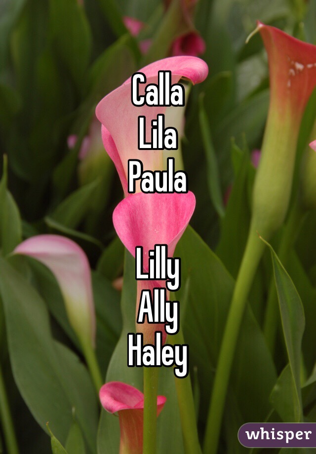 Calla
Lila 
Paula 

Lilly 
Ally
Haley