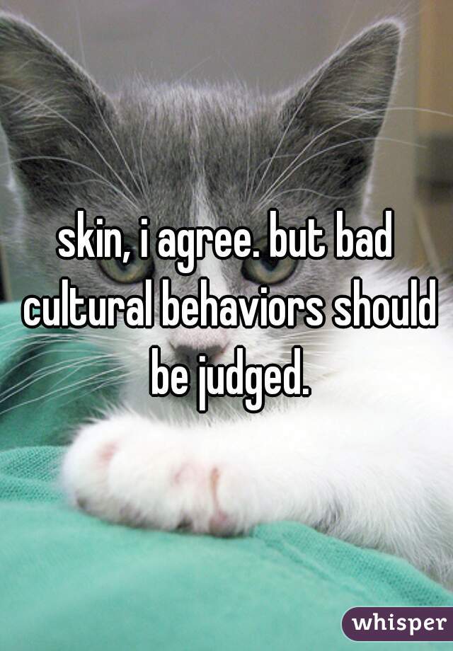 skin, i agree. but bad cultural behaviors should be judged.