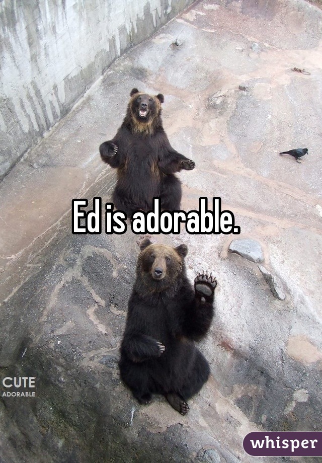 Ed is adorable. 