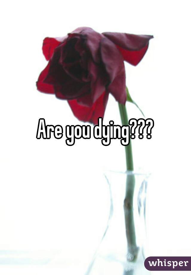 Are you dying???