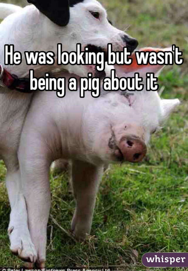 He was looking but wasn't being a pig about it 