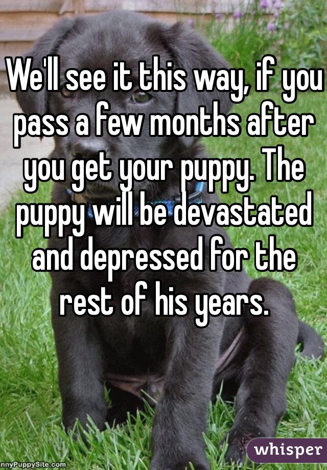 We'll see it this way, if you pass a few months after you get your puppy. The puppy will be devastated and depressed for the rest of his years. 
