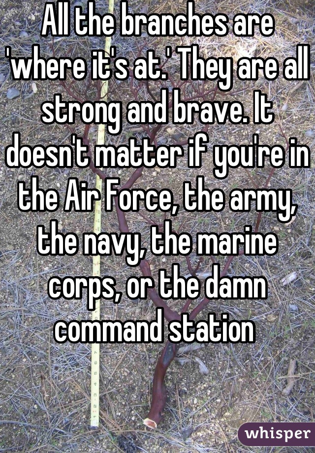 All the branches are 'where it's at.' They are all strong and brave. It doesn't matter if you're in the Air Force, the army, the navy, the marine corps, or the damn command station 