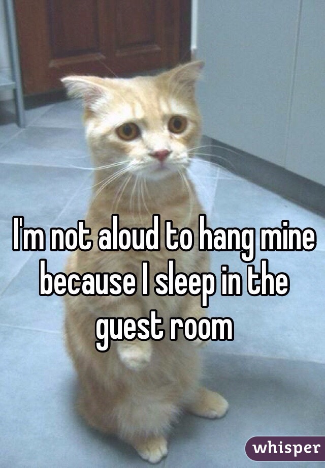 I'm not aloud to hang mine because I sleep in the guest room