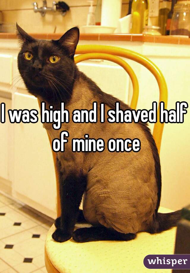I was high and I shaved half of mine once