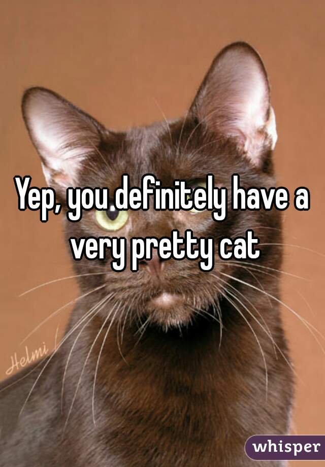 Yep, you definitely have a very pretty cat