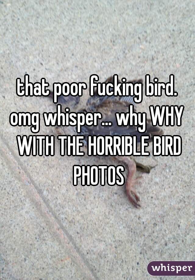 that poor fucking bird.
omg whisper... why WHY WITH THE HORRIBLE BIRD PHOTOS