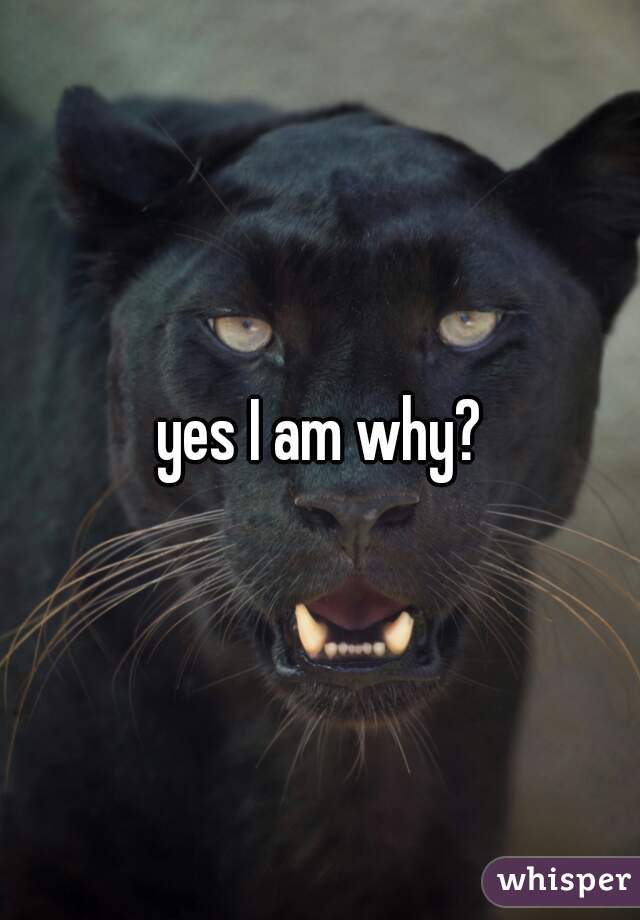 yes I am why?