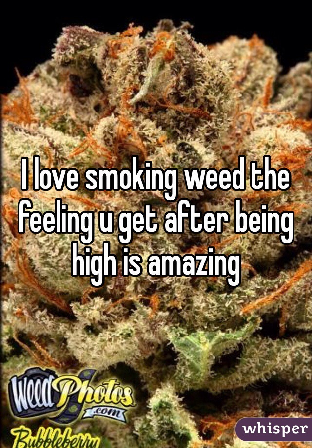 I love smoking weed the feeling u get after being high is amazing
