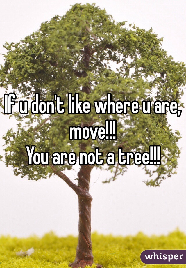 If u don't like where u are, move!!!
You are not a tree!!!