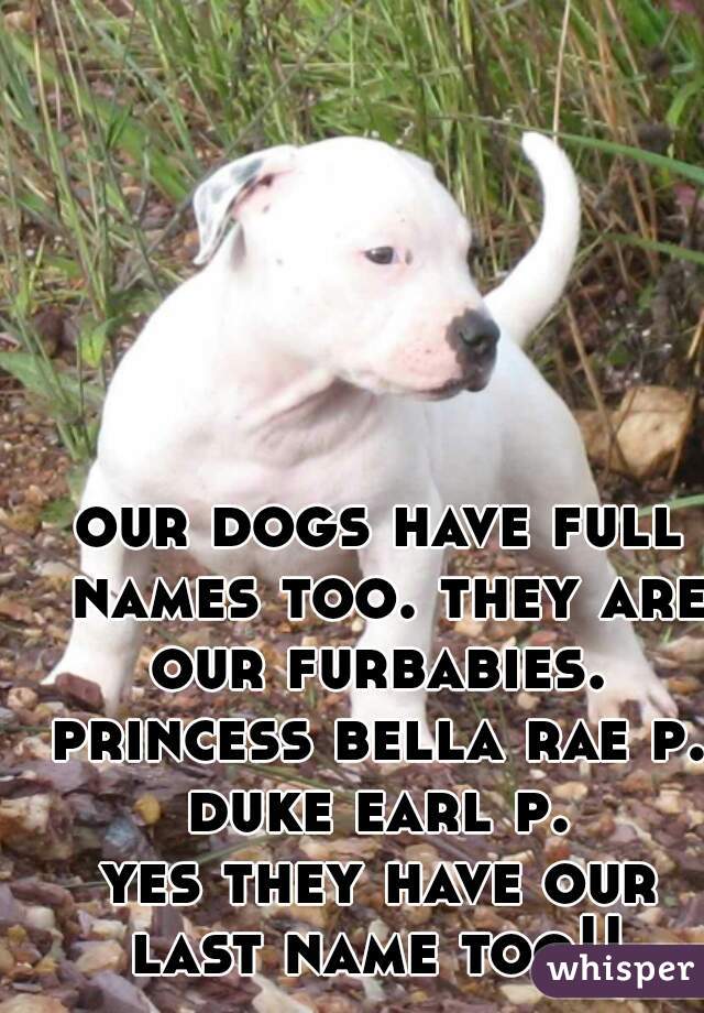 our dogs have full names too. they are our furbabies. 
princess bella rae p.
duke earl p.
yes they have our last name too!! 