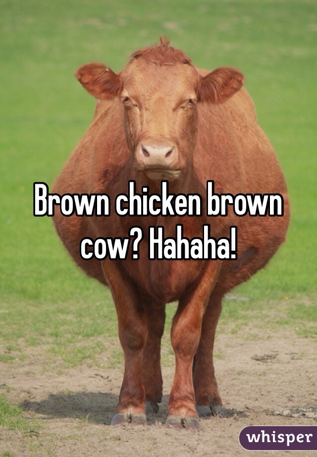 Brown chicken brown cow? Hahaha!  
