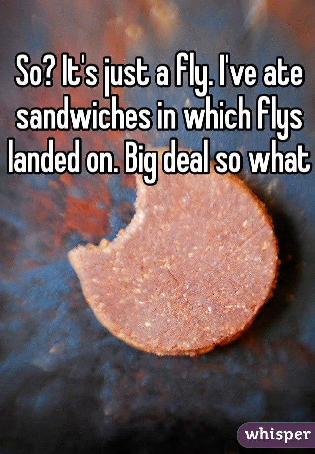 So? It's just a fly. I've ate sandwiches in which flys landed on. Big deal so what 