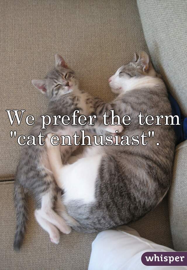 We prefer the term "cat enthusiast".    