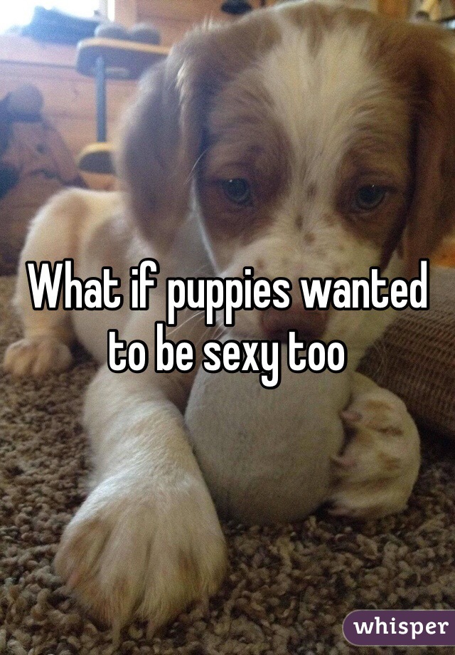 What if puppies wanted to be sexy too