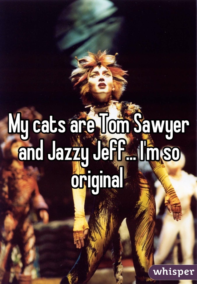 My cats are Tom Sawyer and Jazzy Jeff... I'm so original 