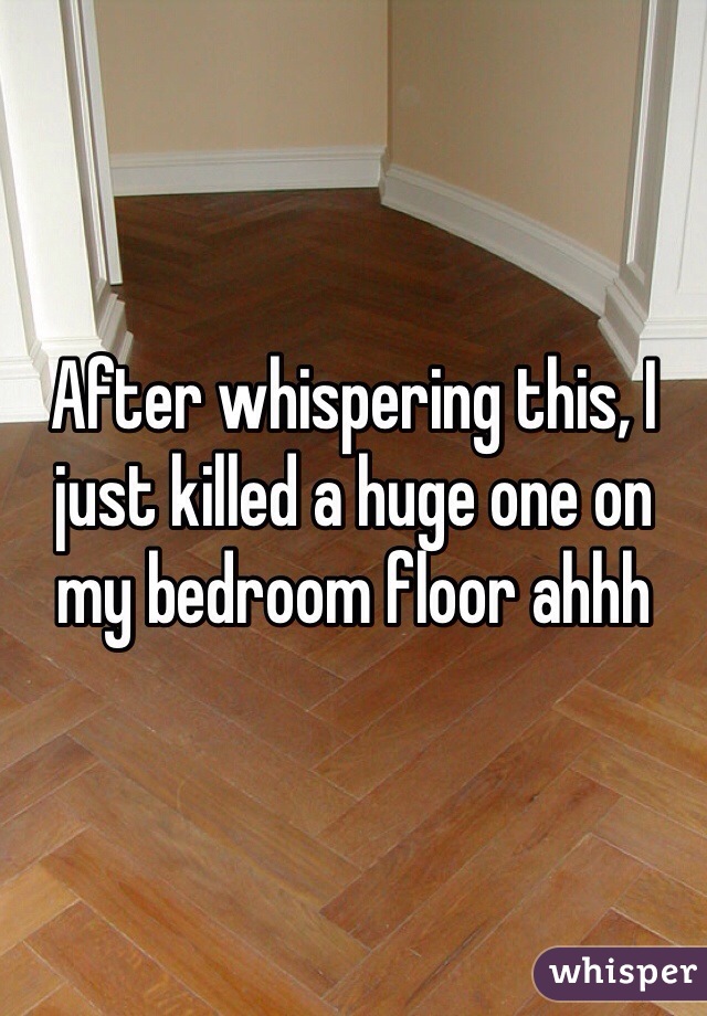 After whispering this, I just killed a huge one on my bedroom floor ahhh