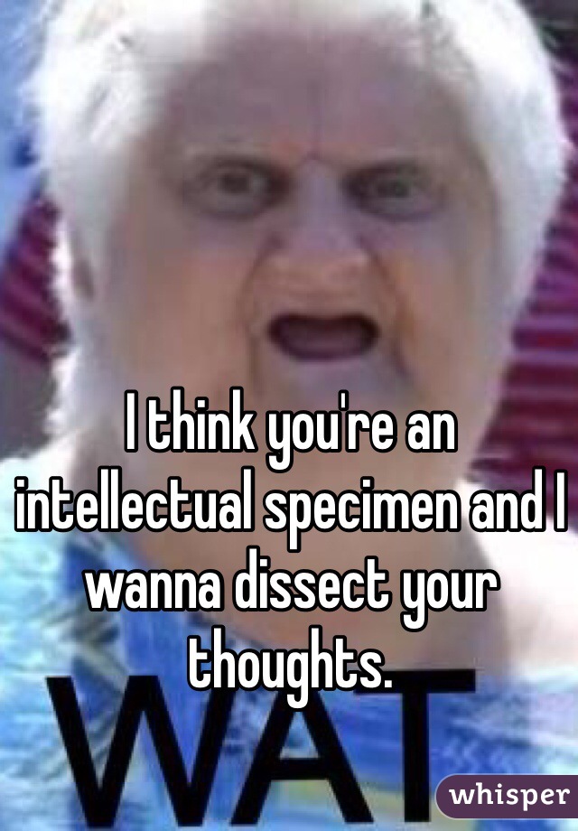 I think you're an intellectual specimen and I wanna dissect your thoughts.