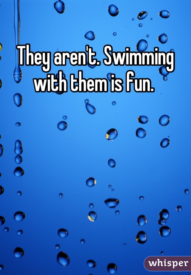 They aren't. Swimming with them is fun. 