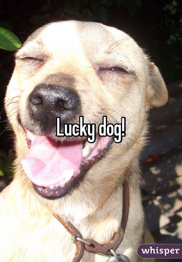 Lucky dog! 