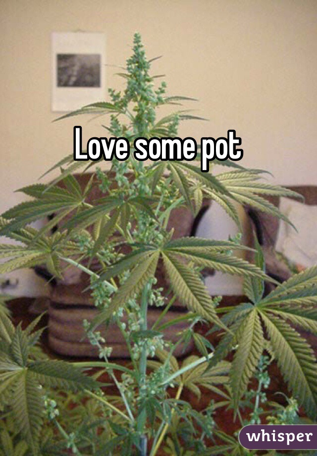 Love some pot