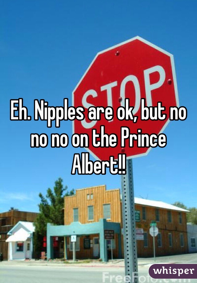 Eh. Nipples are ok, but no no no on the Prince Albert!!