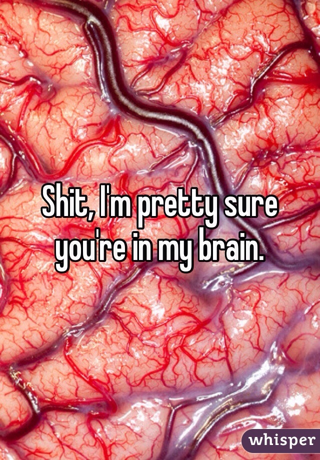Shit, I'm pretty sure you're in my brain. 
