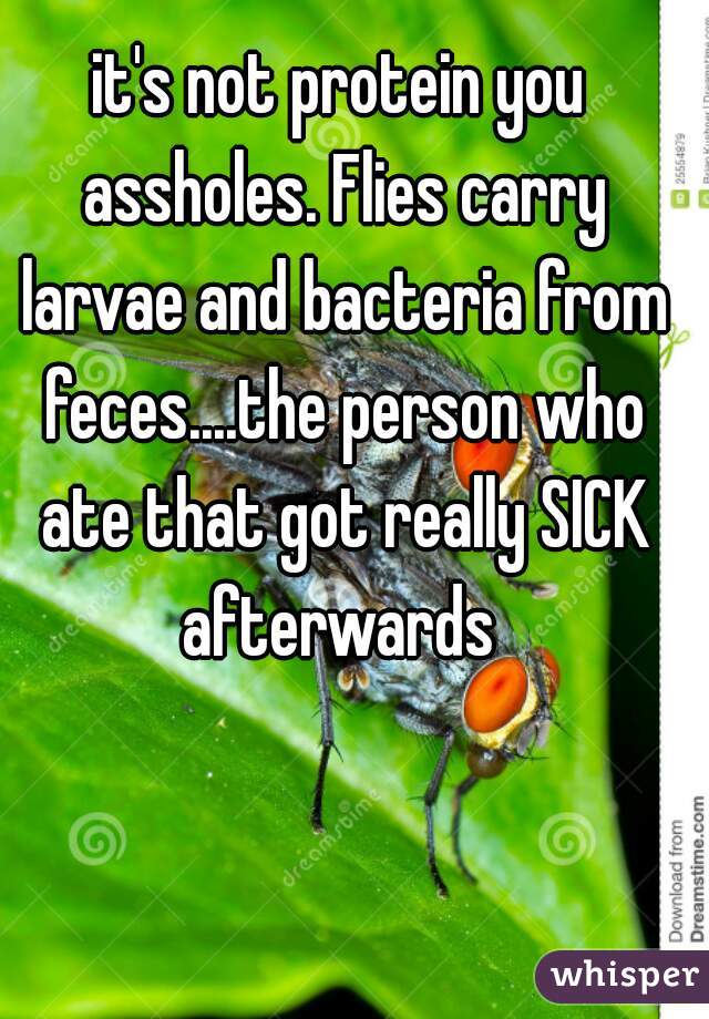 it's not protein you assholes. Flies carry larvae and bacteria from feces....the person who ate that got really SICK afterwards 