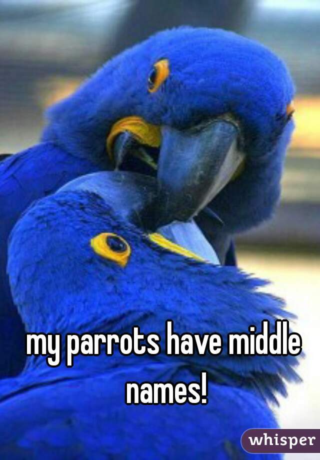 my parrots have middle names!